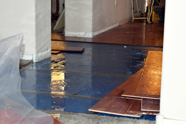 Professional Water Extraction technician working in North Star, MI
